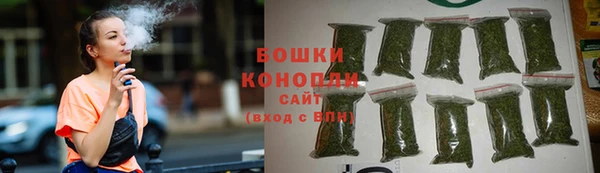 дурь Бронницы