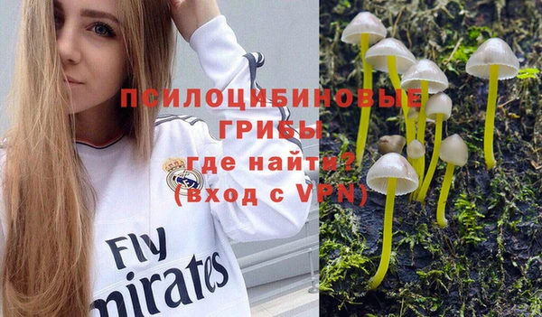 дурь Бронницы