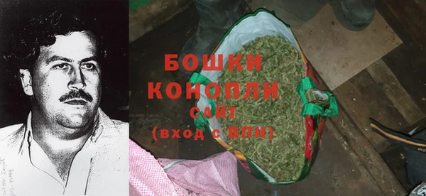 дурь Бронницы