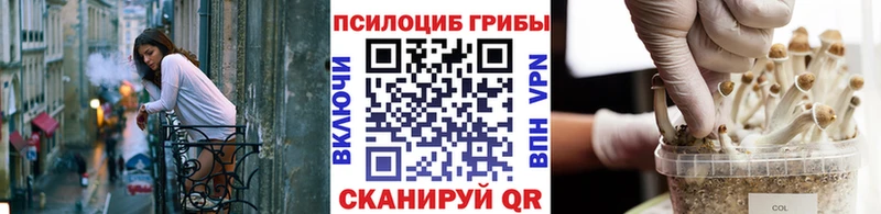 где продают наркотики  Гороховец  Галлюциногенные грибы GOLDEN TEACHER 